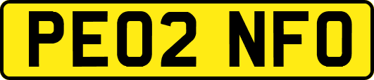 PE02NFO