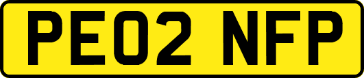 PE02NFP
