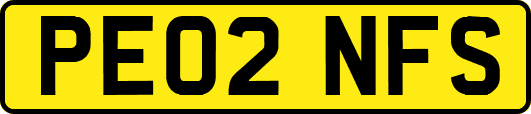 PE02NFS