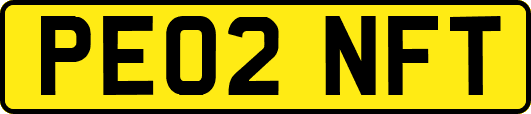 PE02NFT