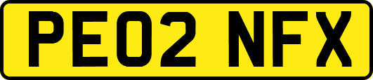 PE02NFX