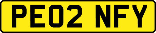 PE02NFY