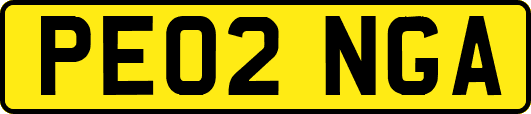 PE02NGA