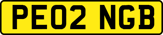 PE02NGB