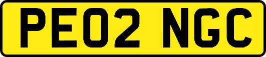 PE02NGC