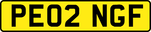 PE02NGF