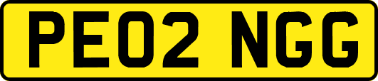 PE02NGG