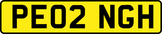 PE02NGH