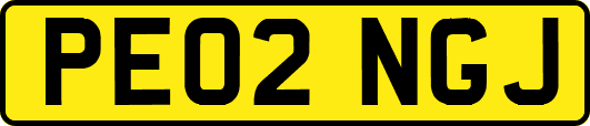 PE02NGJ