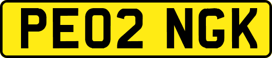 PE02NGK