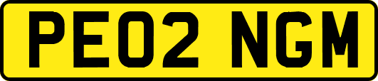 PE02NGM