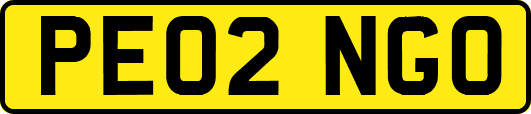 PE02NGO
