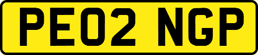 PE02NGP