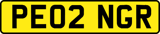 PE02NGR