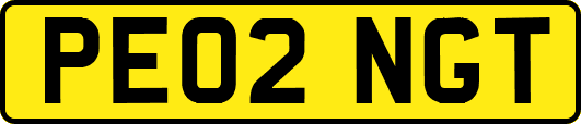 PE02NGT