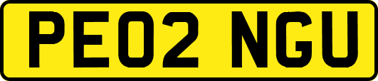 PE02NGU