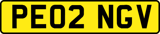 PE02NGV