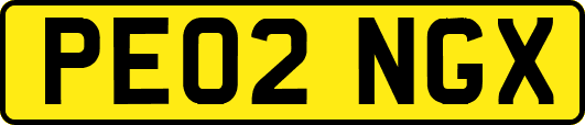 PE02NGX