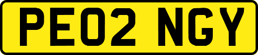 PE02NGY