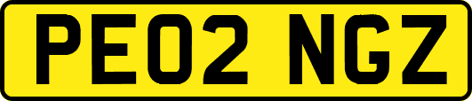 PE02NGZ