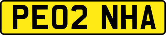 PE02NHA