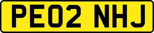 PE02NHJ