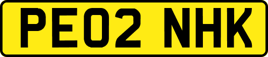 PE02NHK