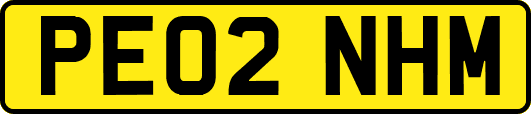 PE02NHM