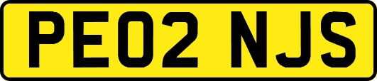 PE02NJS