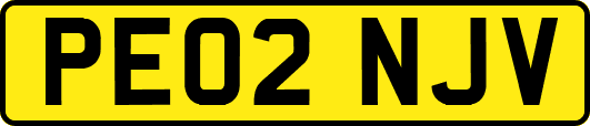 PE02NJV