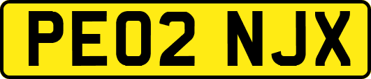 PE02NJX