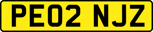 PE02NJZ