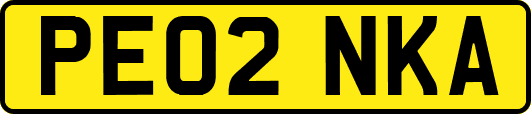 PE02NKA