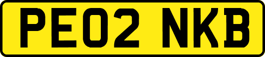 PE02NKB