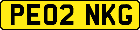 PE02NKG