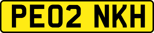 PE02NKH