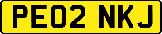 PE02NKJ
