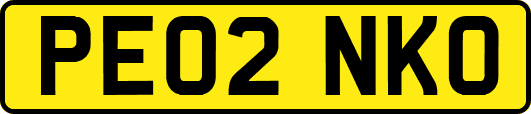 PE02NKO