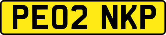 PE02NKP