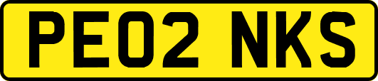 PE02NKS