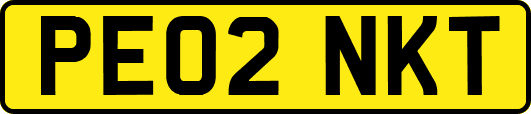 PE02NKT