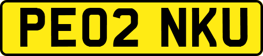 PE02NKU
