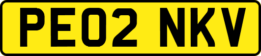 PE02NKV