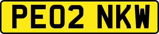 PE02NKW