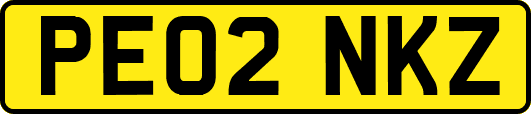 PE02NKZ