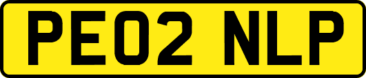 PE02NLP