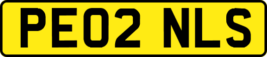 PE02NLS