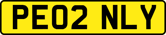 PE02NLY
