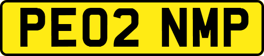 PE02NMP