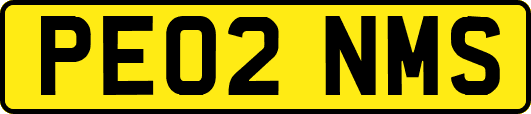 PE02NMS